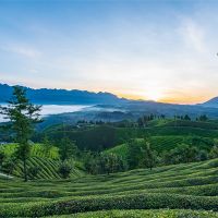 500万吨/年！湖北储量约1.12亿吨建筑用花岗岩矿拟挂牌出让