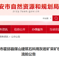 起始价8亿元！安徽一建筑石料用灰岩矿无人报价流拍